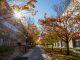 University will require all undergraduate and graduate students to receive COVID-19 vaccines