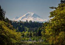 University of Washington graduate and professional disciplines rank highly in US News’ ‘Best Graduate School’ lists