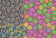 Research Achievement Awards honor early-career and accomplished Brown scholars