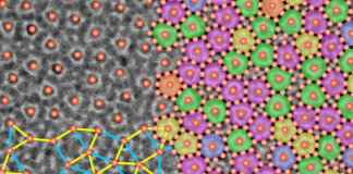 Research Achievement Awards honor early-career and accomplished Brown scholars