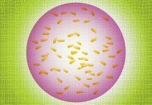 A safer way to deploy bacteria as environmental sensors