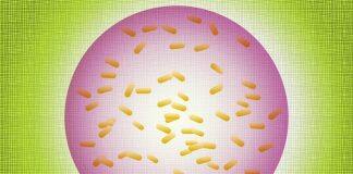 A safer way to deploy bacteria as environmental sensors