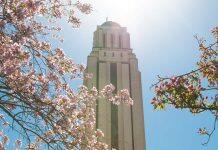 UdeM named 39th in the world in the Times Higher Education ‘Impact’ ranking