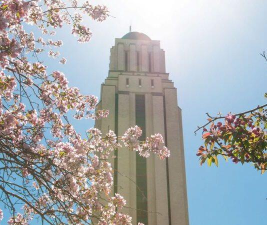 UdeM named 39th in the world in the Times Higher Education ‘Impact’ ranking