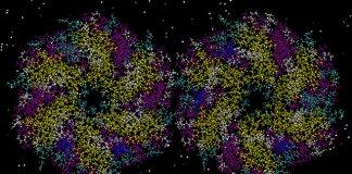 For first time, researchers control design of bacterial microcompartments