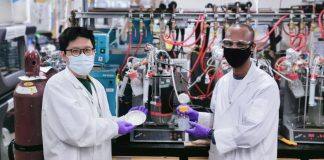 Researchers brewing up better ways to turn plant waste into ethanol