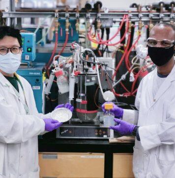 Researchers brewing up better ways to turn plant waste into ethanol
