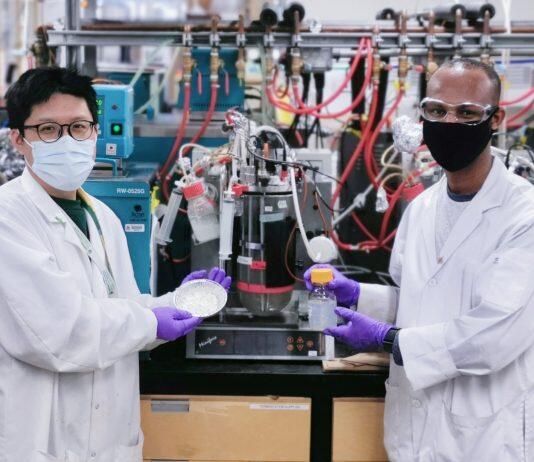 Researchers brewing up better ways to turn plant waste into ethanol