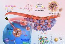 University of Macau’s breakthrough in nanotechnology optimises cancer photothermal therapy
