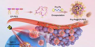 University of Macau’s breakthrough in nanotechnology optimises cancer photothermal therapy