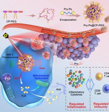 University of Macau’s breakthrough in nanotechnology optimises cancer photothermal therapy