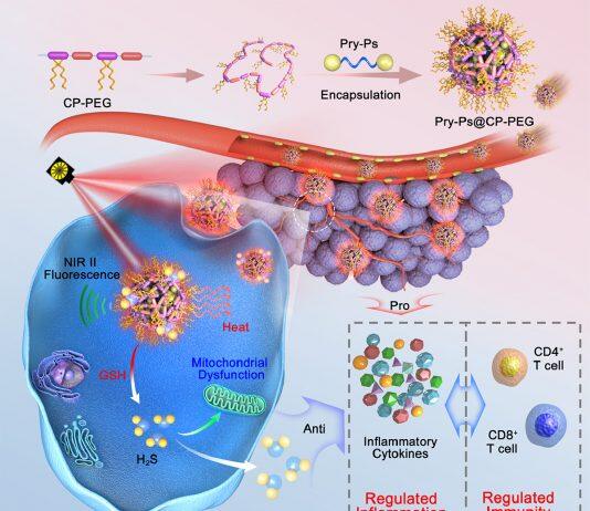 University of Macau’s breakthrough in nanotechnology optimises cancer photothermal therapy