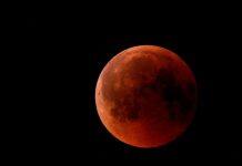 Super blood moon to get the heart pumping