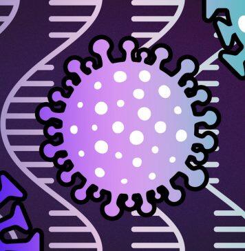 A comprehensive map of the SARS-CoV-2 genome