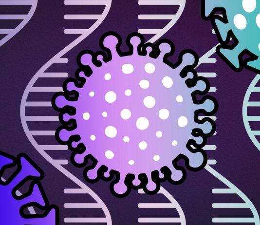 A comprehensive map of the SARS-CoV-2 genome