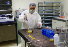 Humans have been altering the environment with fire for at least 85,000 years: new study