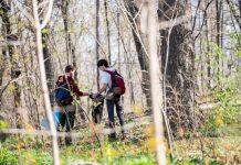 UdeM unveils new sustainable development strategy