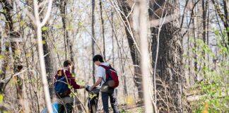 UdeM unveils new sustainable development strategy