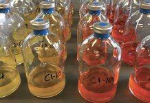 Good bacteria can temper chemotherapy side effects