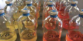 Good bacteria can temper chemotherapy side effects