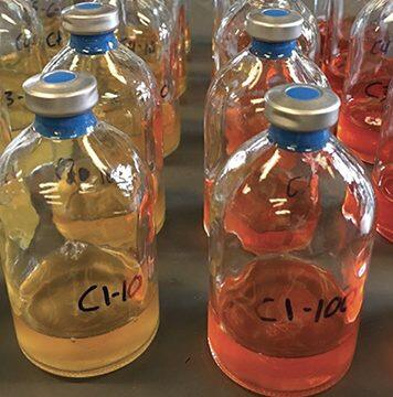 Good bacteria can temper chemotherapy side effects