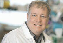 University of Toronto researchers grow mini-organs to study brain development and disease