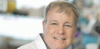 University of Toronto researchers grow mini-organs to study brain development and disease