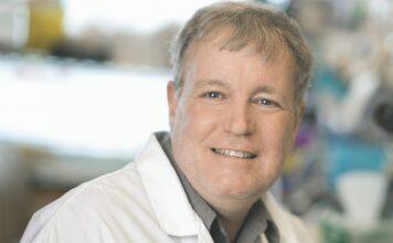 University of Toronto researchers grow mini-organs to study brain development and disease