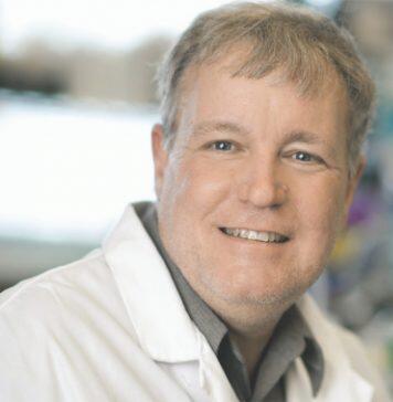 University of Toronto researchers grow mini-organs to study brain development and disease