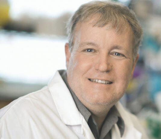 University of Toronto researchers grow mini-organs to study brain development and disease