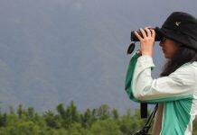 UNNC graduate’s regional research on barn swallows wins high praise