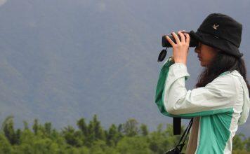 UNNC graduate’s regional research on barn swallows wins high praise