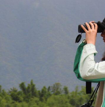 UNNC graduate’s regional research on barn swallows wins high praise