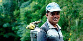 WHO ‘needs to act’ on suicides caused by pesticides