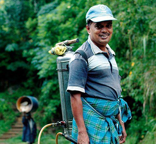 WHO ‘needs to act’ on suicides caused by pesticides