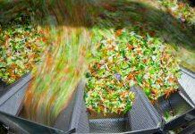 Study tracks food’s value from farm to plate globally