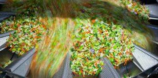 Study tracks food’s value from farm to plate globally