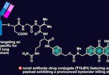 Targeted tumors attack not-innocent bystanders
