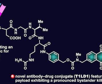 Targeted tumors attack not-innocent bystanders