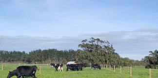 Massey key partner in programme supporting sustainable farming