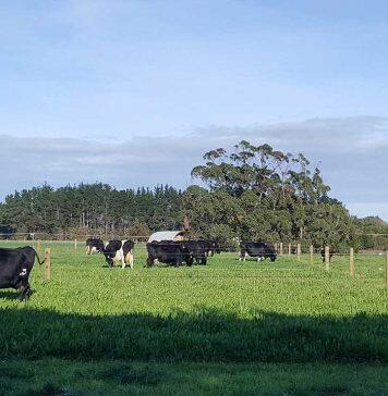 Massey key partner in programme supporting sustainable farming