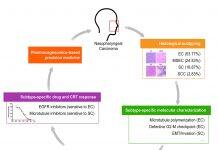 UM achieves major breakthrough in nasopharyngeal carcinoma treatment