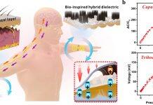UM develops self-powered wearable tactile sensor based on bio-inspired dielectric