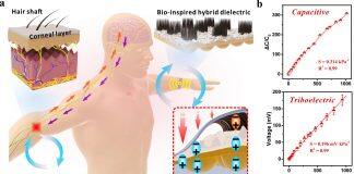 UM develops self-powered wearable tactile sensor based on bio-inspired dielectric