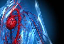 Artificial intelligence to predict heart disease