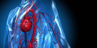 Artificial intelligence to predict heart disease