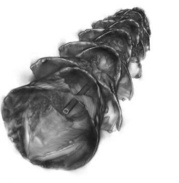 Stents inspired by paper-cutting art can deliver drugs to the GI tract