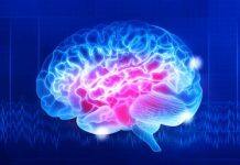 Saturated fatty acid levels increase when making memories