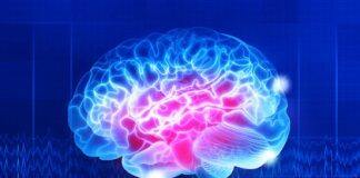 Saturated fatty acid levels increase when making memories