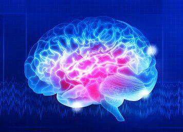 Saturated fatty acid levels increase when making memories